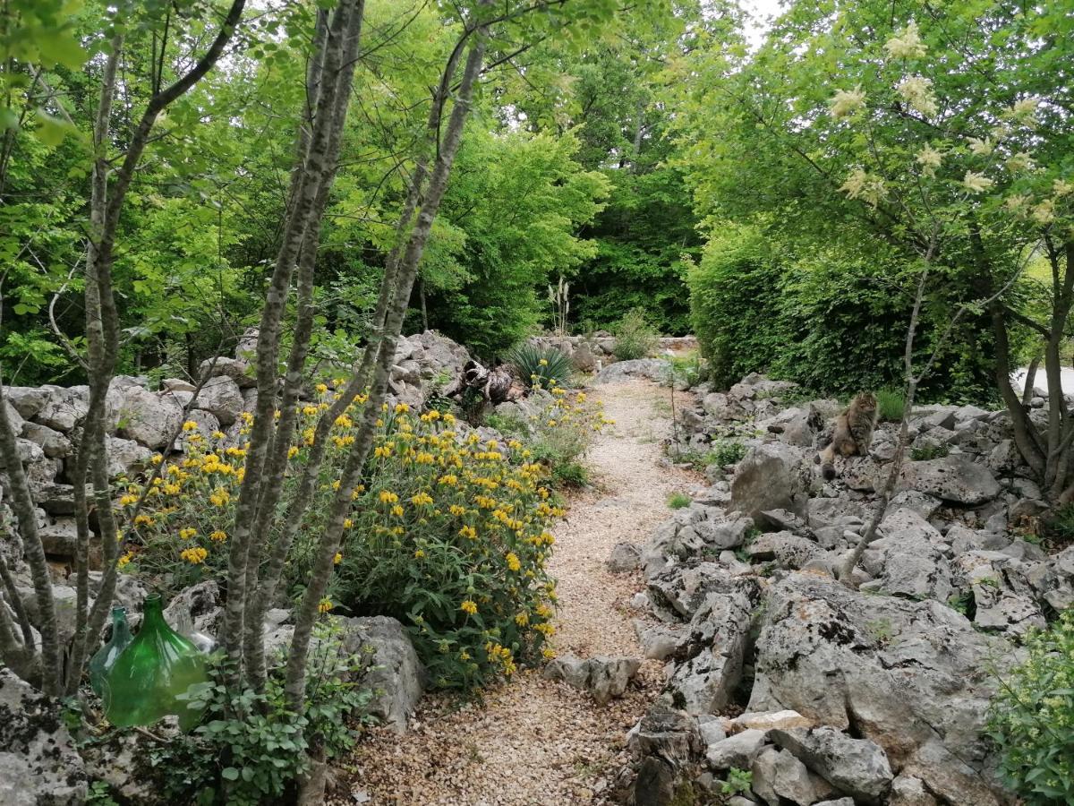 The Forest House Krk 1 Kras エクステリア 写真