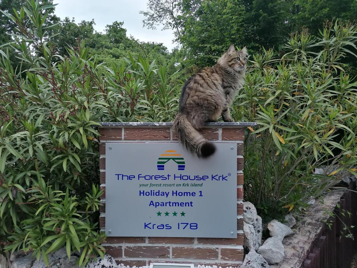 The Forest House Krk 1 Kras エクステリア 写真